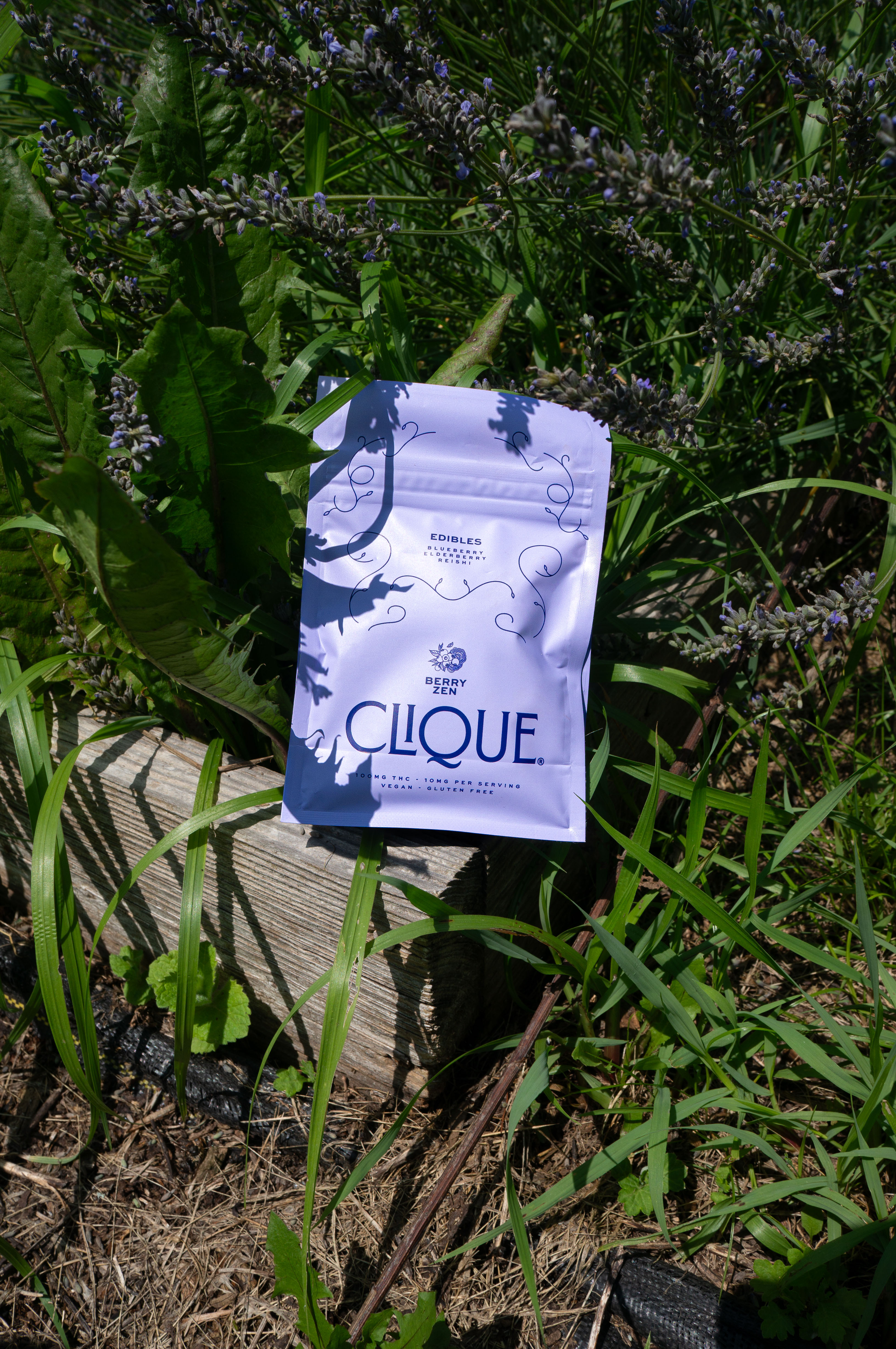 Berry Zen bag nestled in lavender