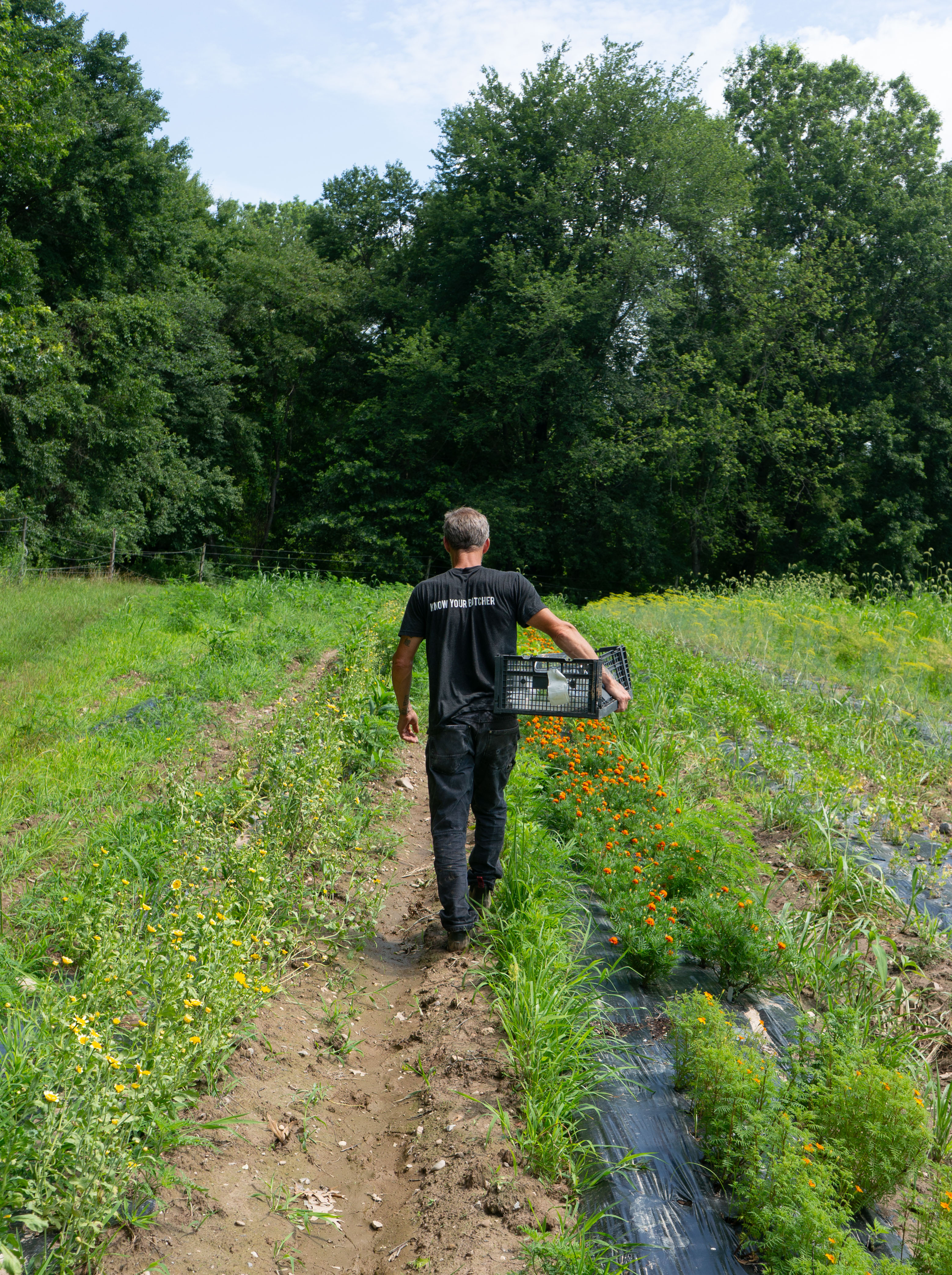Walking through the Clique farm